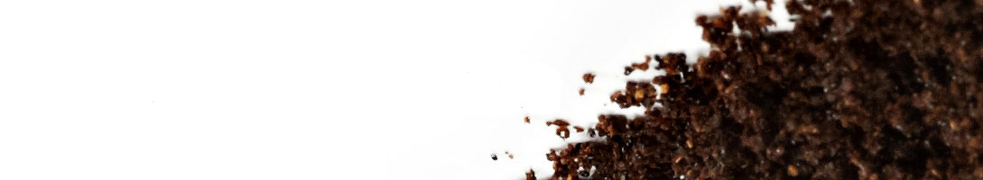 Madagascar Vanilla